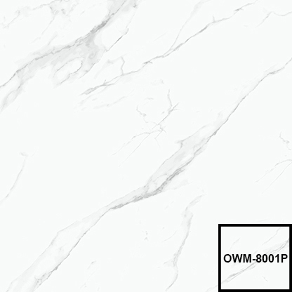 OWM8001P